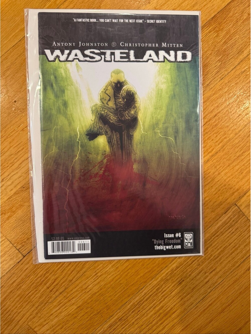 Wasteland #6 Dying Freedom Oni Press 2007 Antony Johnston Christopher Mitten